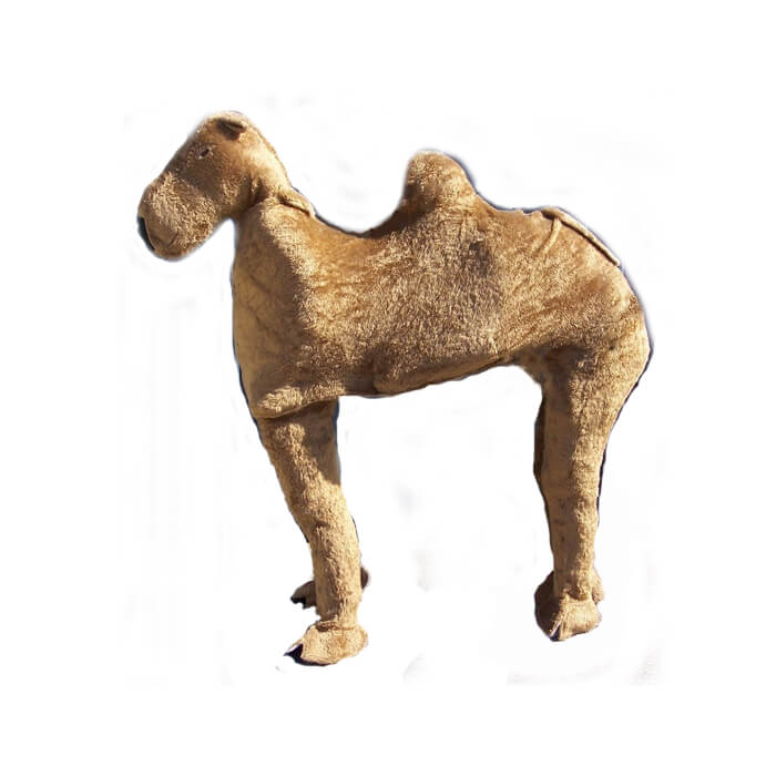 Panto Camel Two People